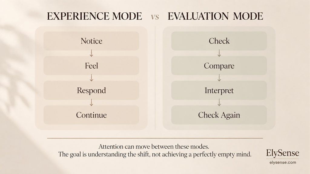 Experience mode moves from notice to feel to respond to continue; evaluation mode moves from check to compare to interpret to check again. Attention can move between them.